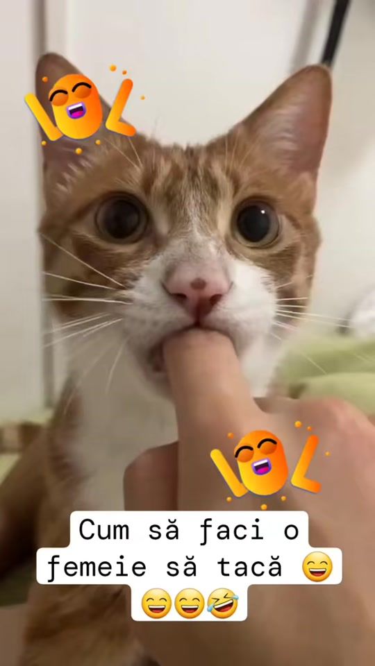 TikTok video thumbnail by iulia_06_04