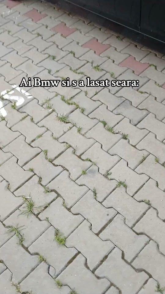 TikTok video thumbnail by ggringo36