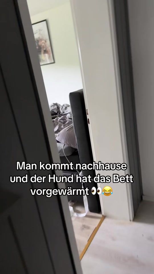 TikTok video thumbnail by luca29.7