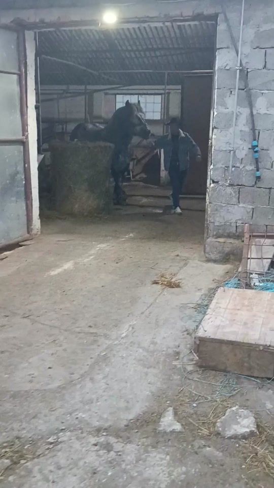 TikTok video thumbnail by razv37