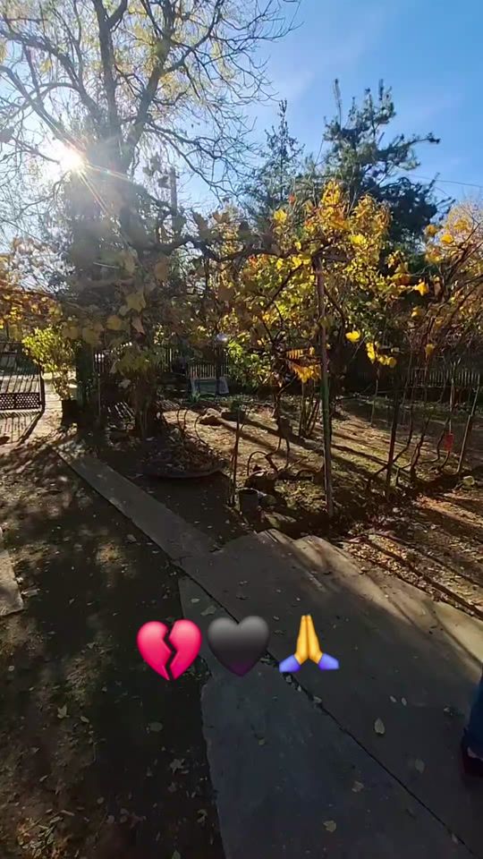 TikTok video thumbnail by roberto_de_la_pitesti
