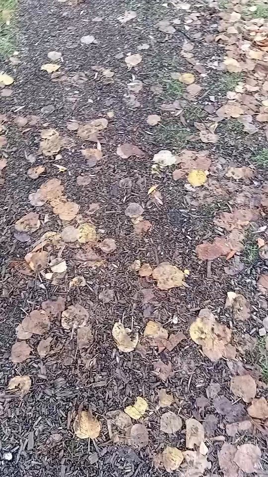 TikTok video thumbnail by maya409358