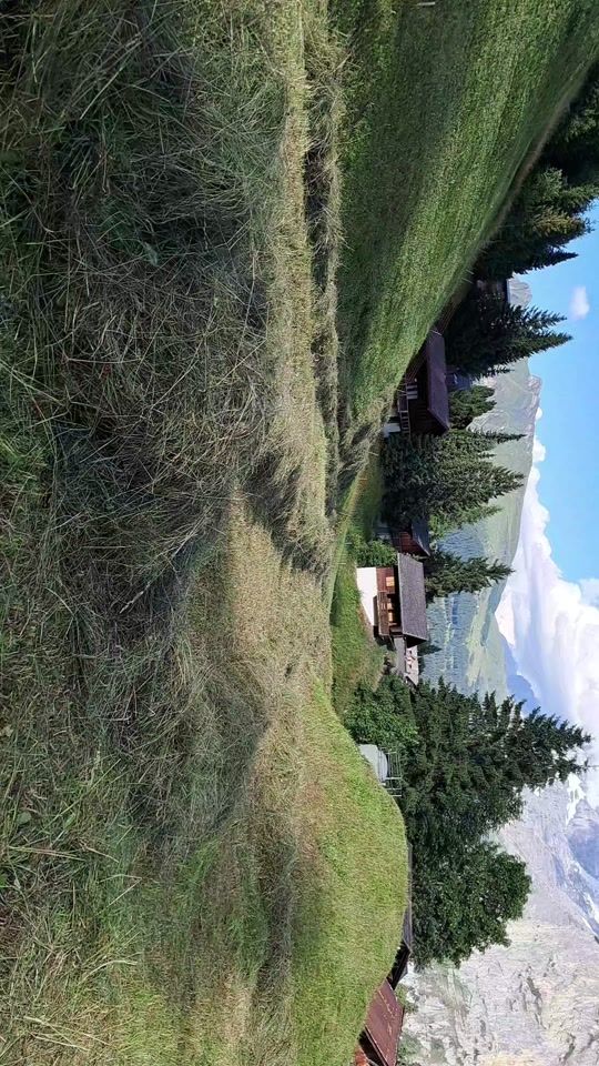 TikTok video thumbnail by jak6307
