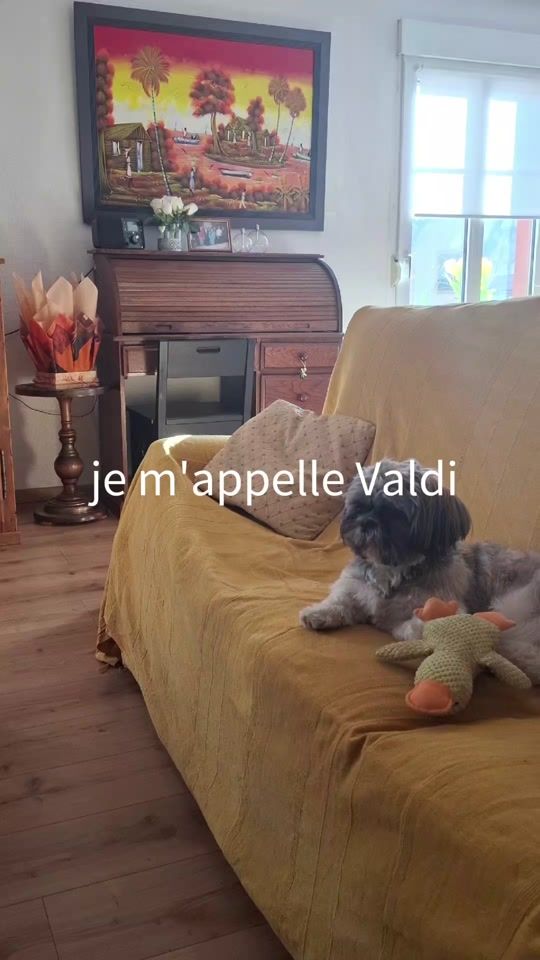 TikTok video thumbnail by valdi080224