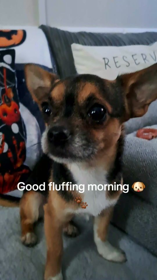 TikTok video thumbnail by samnjackntimmy