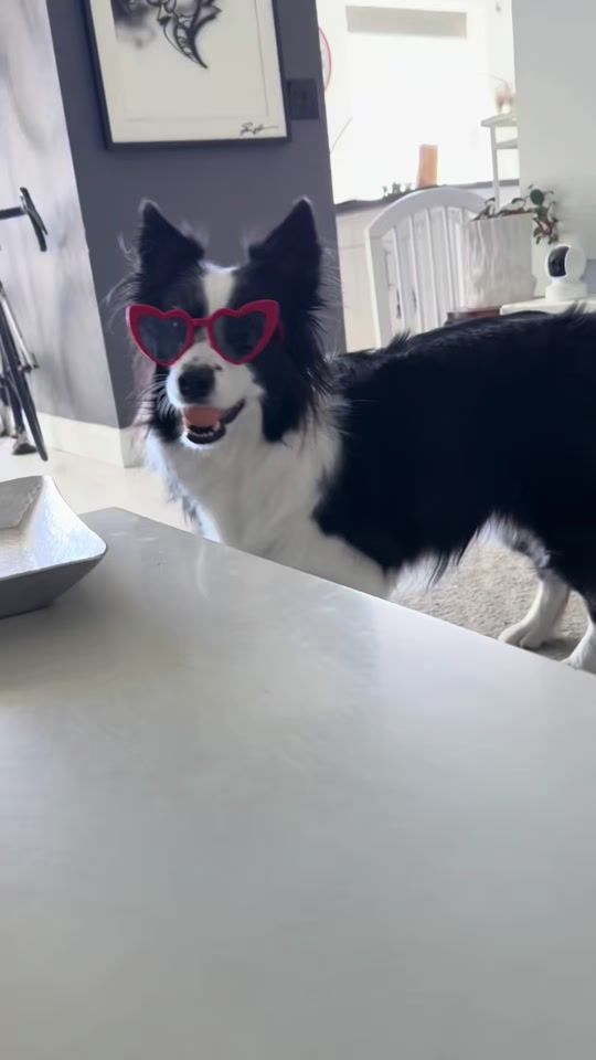 TikTok video thumbnail by ktymorar