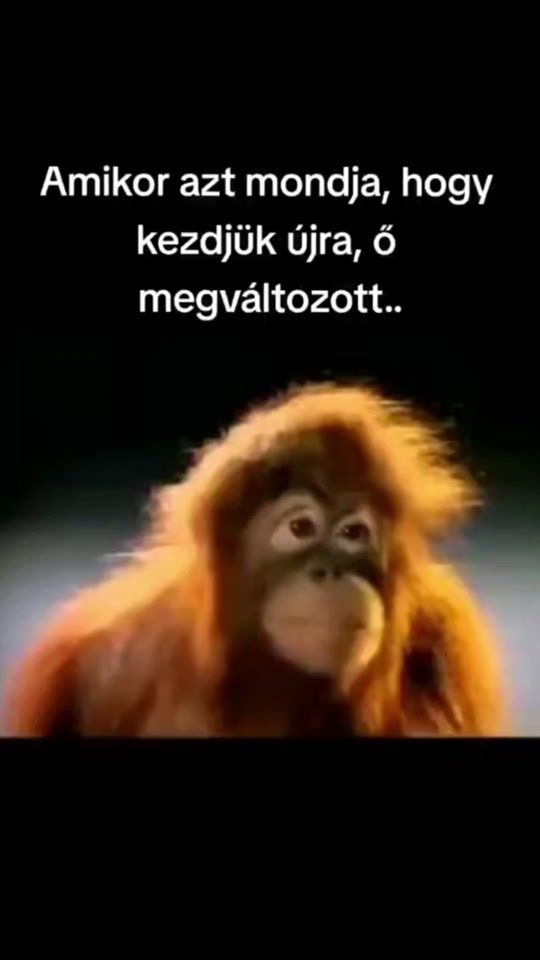 TikTok video thumbnail by video__var