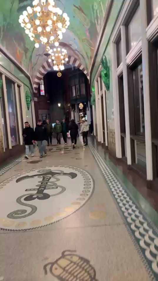 TikTok video thumbnail by omgevents5