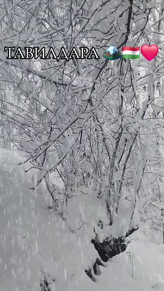 TikTok video thumbnail by shooh97