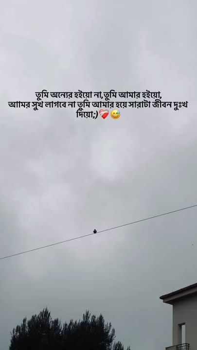 TikTok video thumbnail by .ratul31