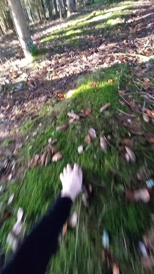 TikTok video thumbnail by sn0w.f4ng