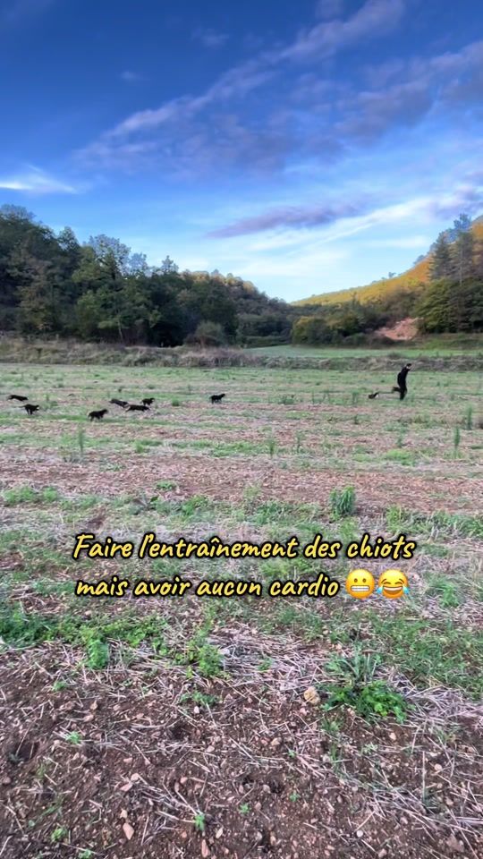 TikTok video thumbnail by lesbourrusdelachironde