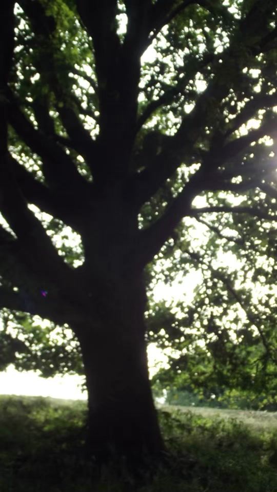 TikTok video thumbnail by mentalhealthmatters622