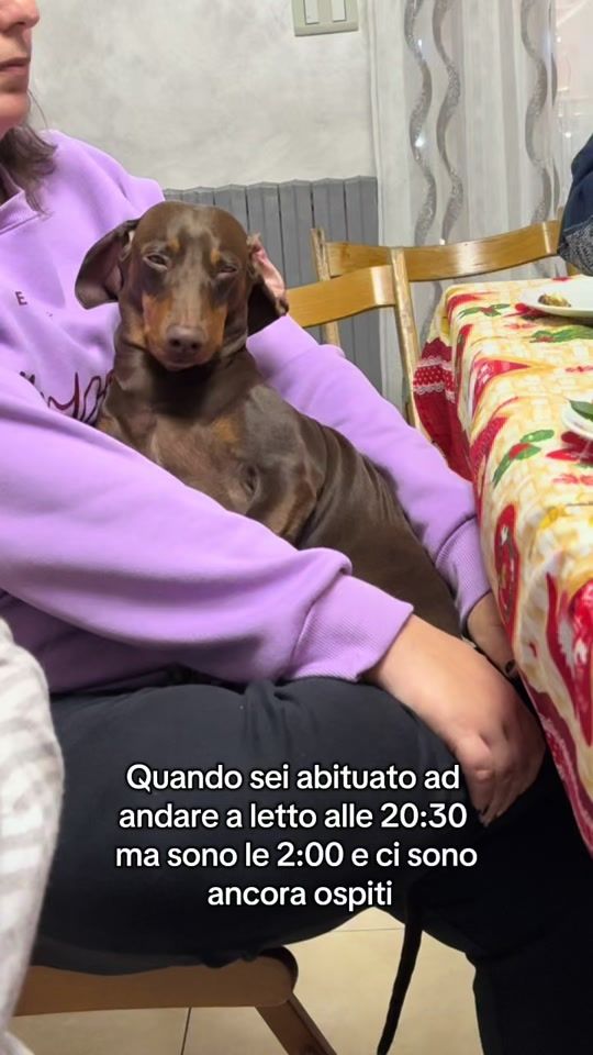 TikTok video thumbnail by claracuozzo