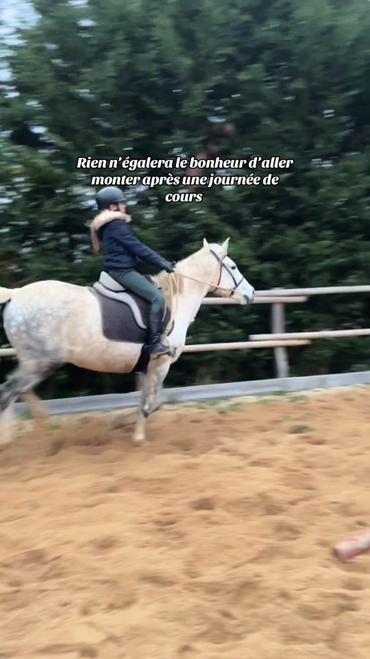 TikTok video thumbnail by clem_et_ses_poneys