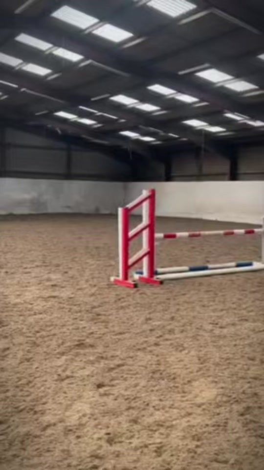 TikTok video thumbnail by ralph.equestriannn
