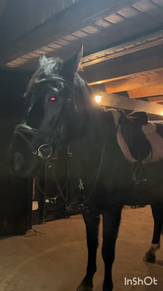 TikTok video thumbnail by z_kain_