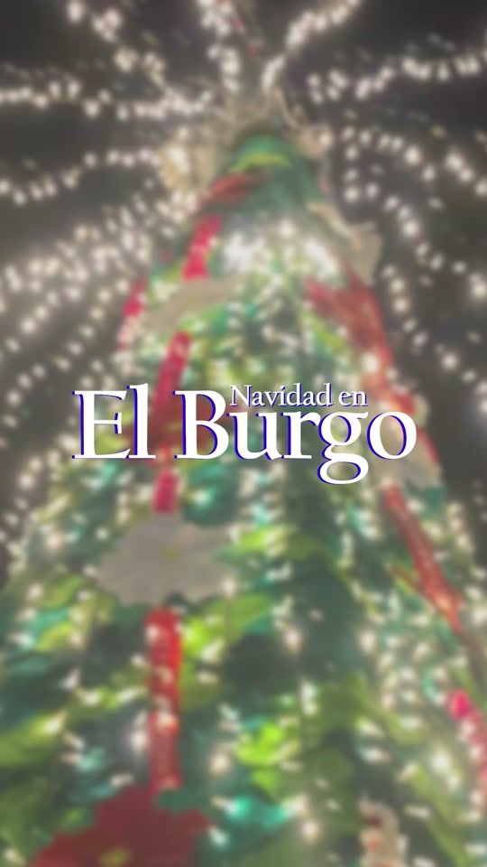TikTok video thumbnail by simplementeelburgo