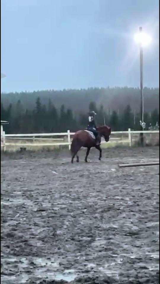 TikTok video thumbnail by teampietila