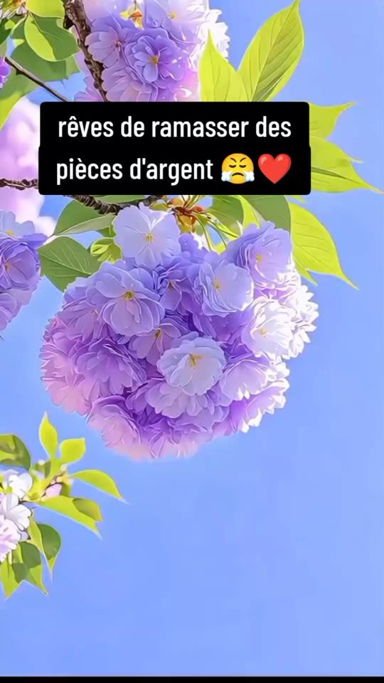 TikTok video thumbnail by morgen.frh0
