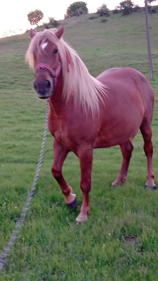 TikTok video thumbnail by marya.lavinia27