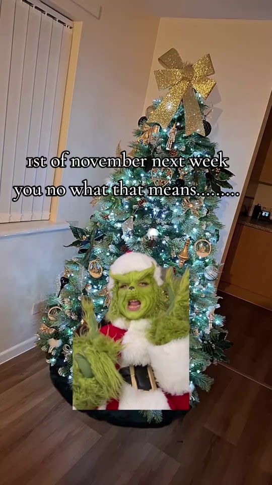 TikTok video thumbnail by perrie9167