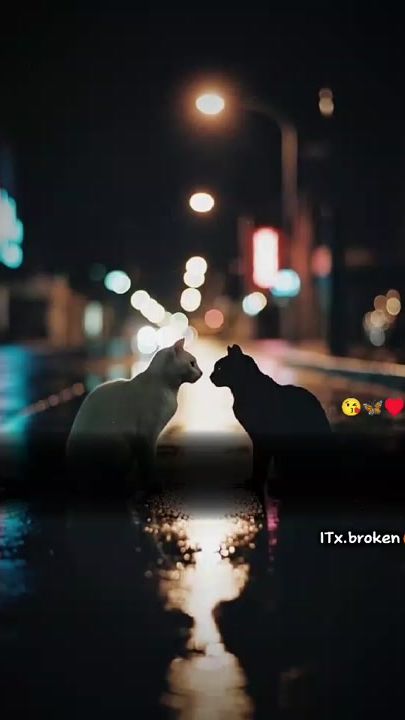 TikTok video thumbnail by brokens109