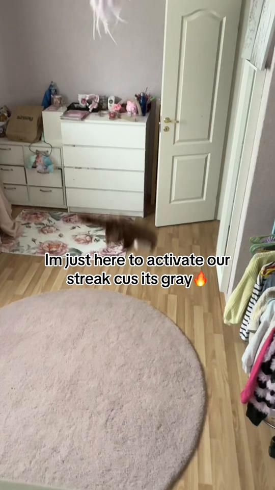 TikTok video thumbnail by nutellapacket1