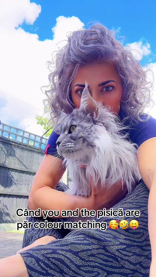 TikTok video thumbnail by shabin.maincoon