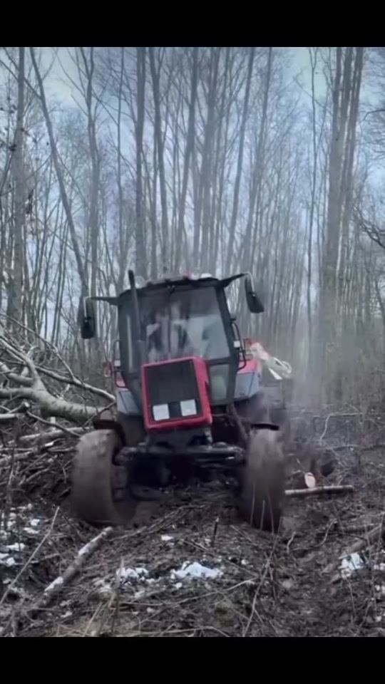 TikTok video thumbnail by b.ferikemtz