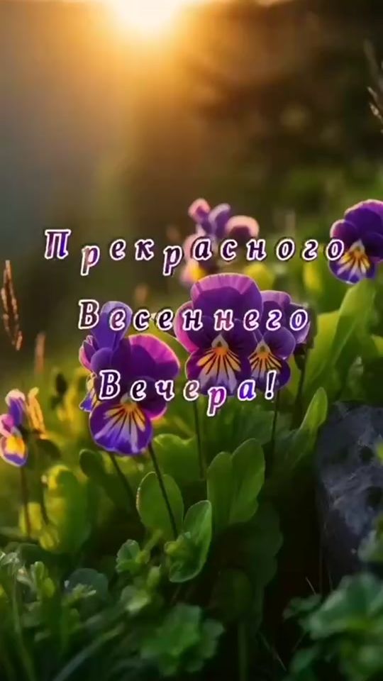 TikTok video thumbnail by lidusha8782
