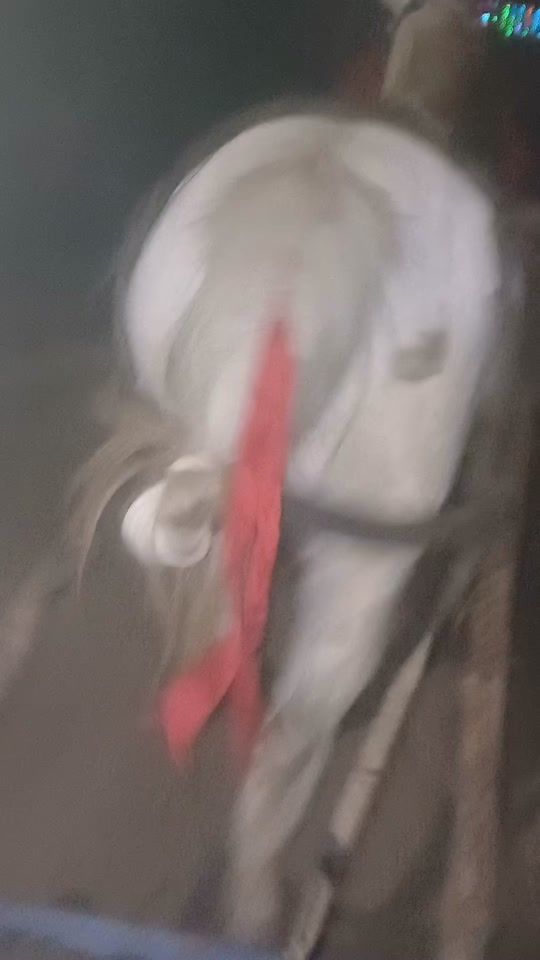 TikTok video thumbnail by robyroby652