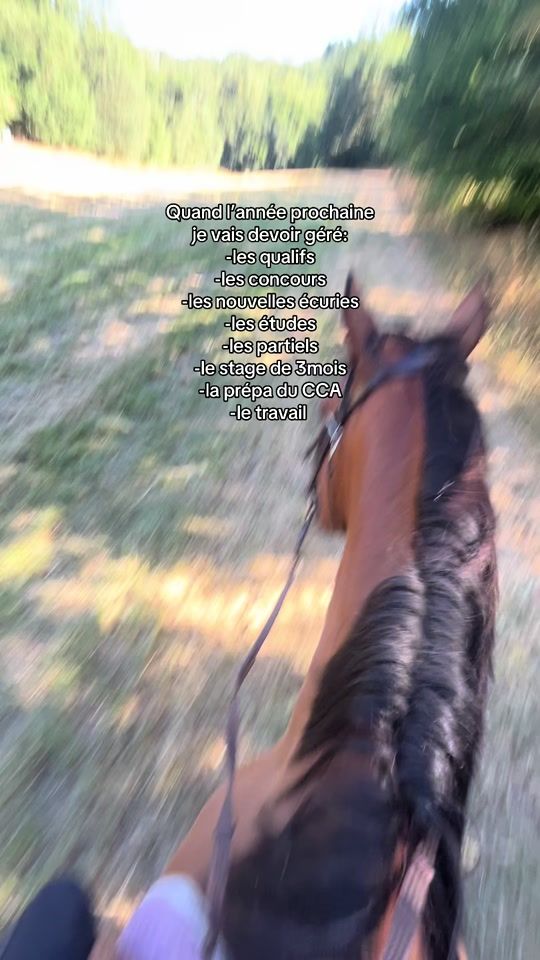 TikTok video thumbnail by sp.horse