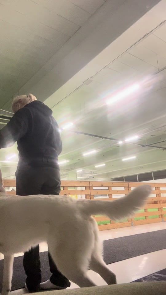 TikTok video thumbnail by sportingwss
