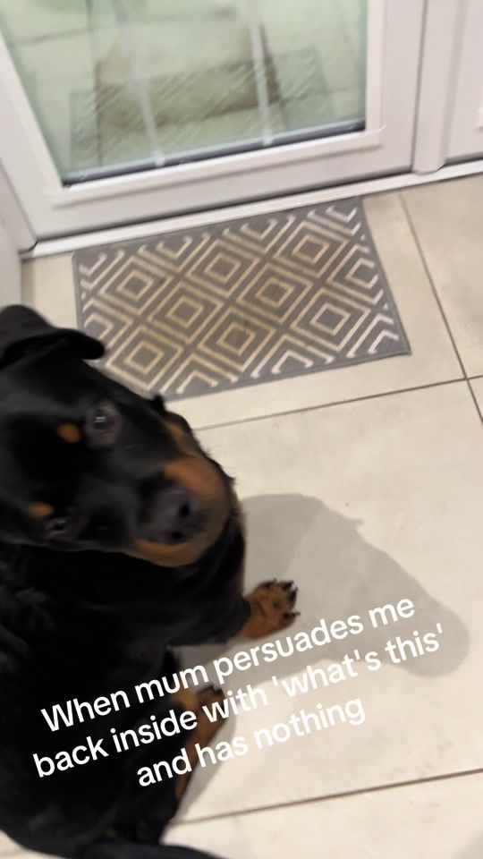 TikTok video thumbnail by therowdyrotties