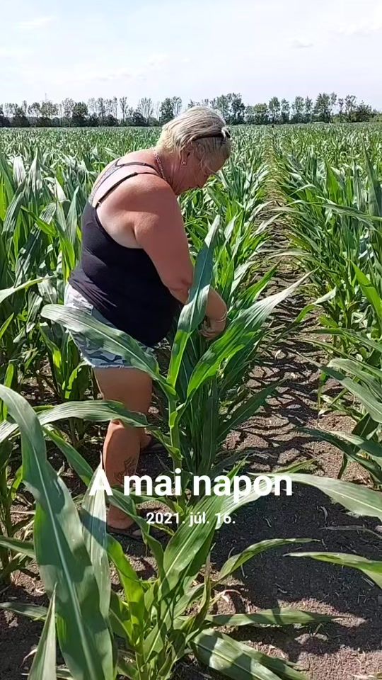TikTok video thumbnail by ritus_timcsi
