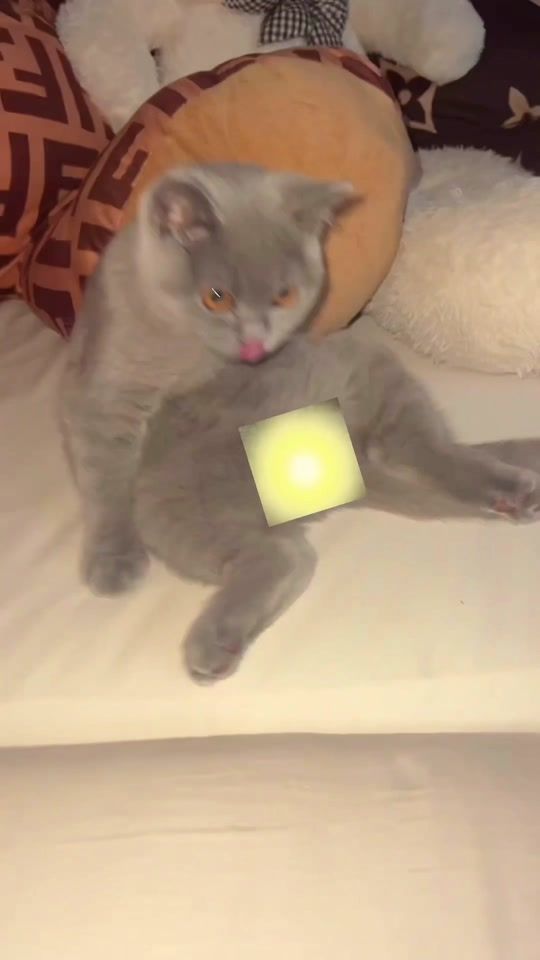 TikTok video thumbnail by loritacgn