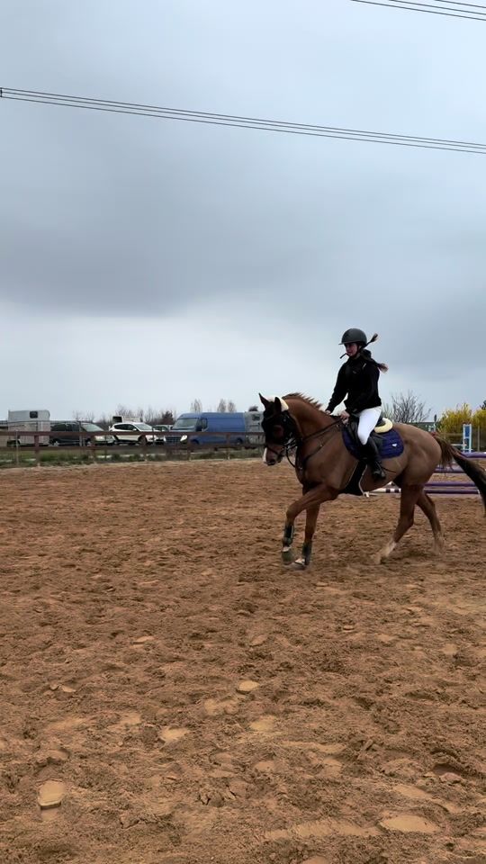 TikTok video thumbnail by three_crazy_ponies