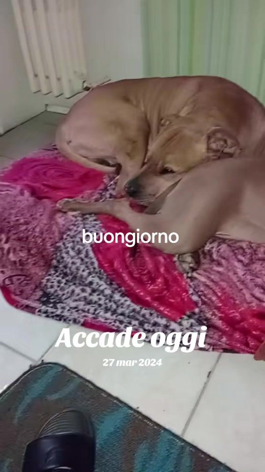 TikTok video thumbnail by imieicanipit