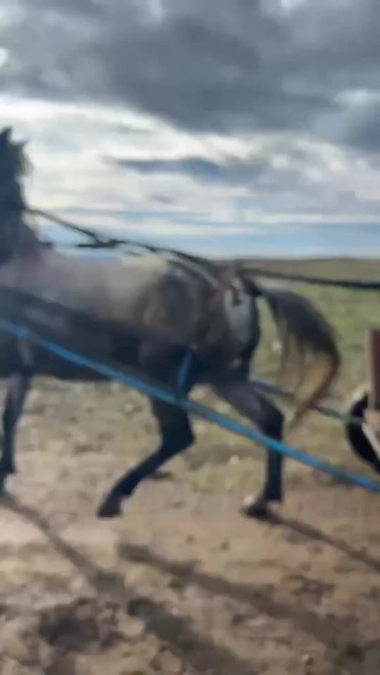 TikTok video thumbnail by anatoli.miladinov