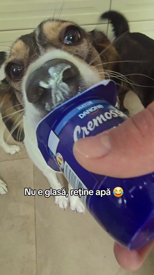 TikTok video thumbnail by viv_aruq
