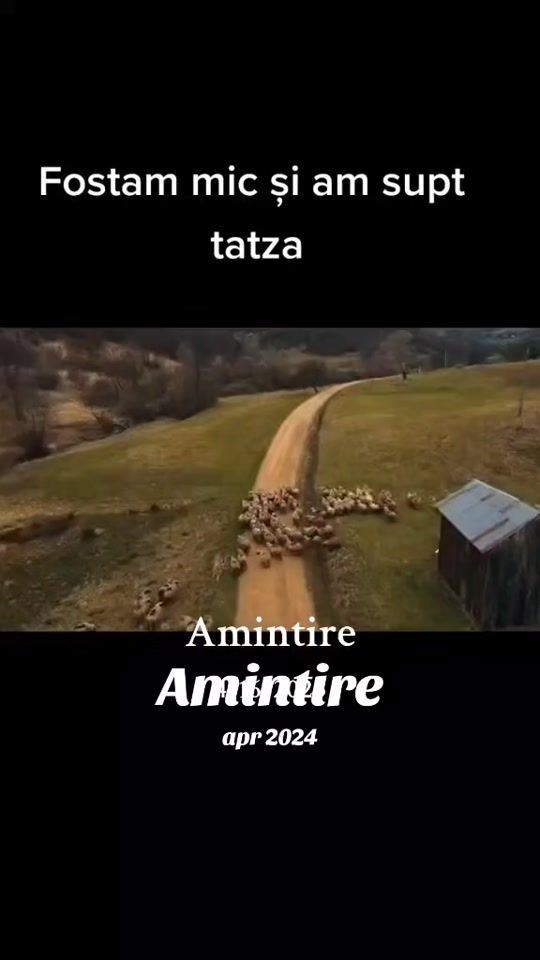 TikTok video thumbnail by simo.muzic