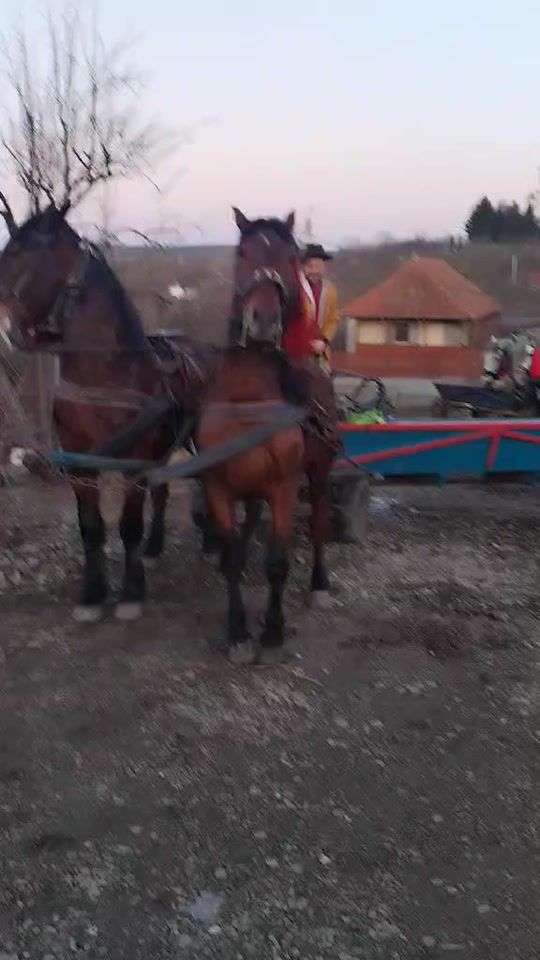 TikTok video thumbnail by razvanhulpe90
