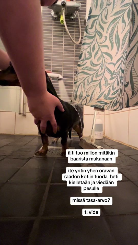 TikTok video thumbnail by ennijohannaaa