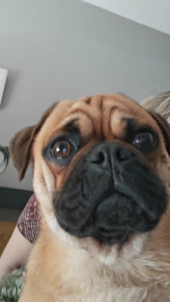TikTok video thumbnail by fcpack