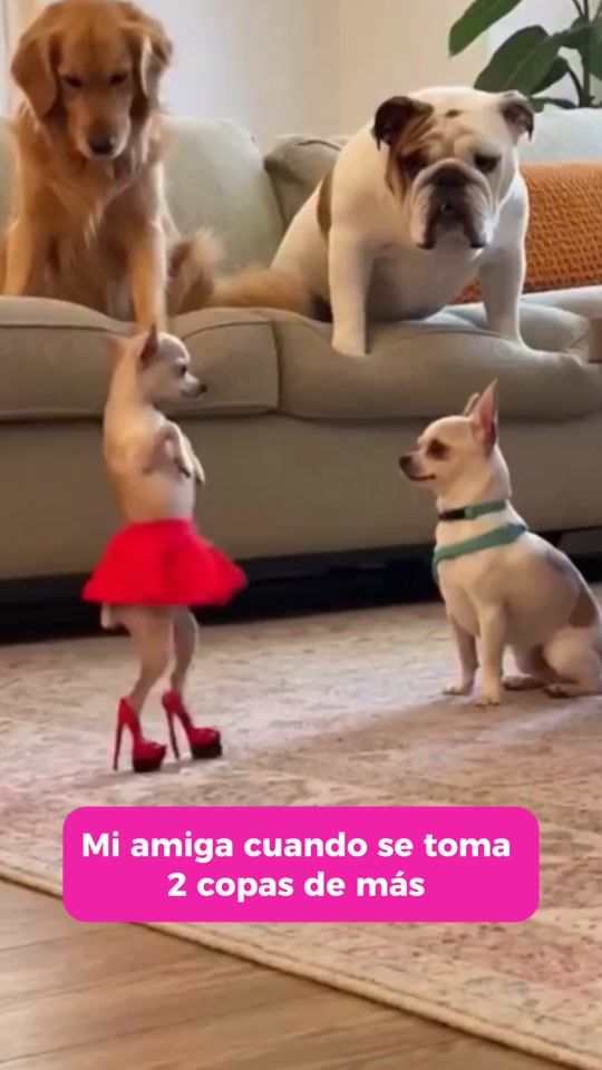 TikTok video thumbnail by cabronazi