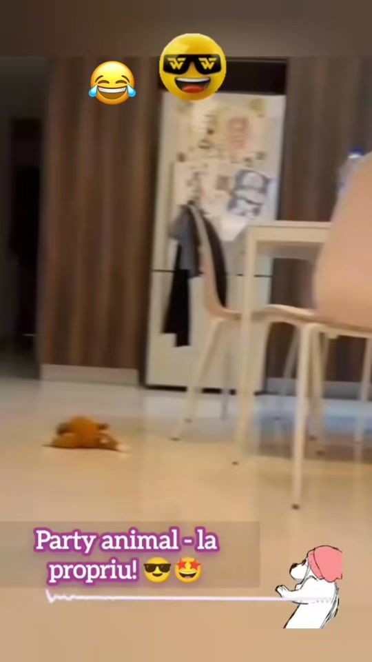 TikTok video thumbnail by mrvril