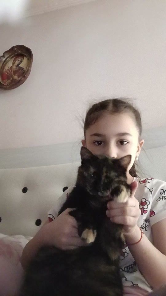 TikTok video thumbnail by amalia.maria032