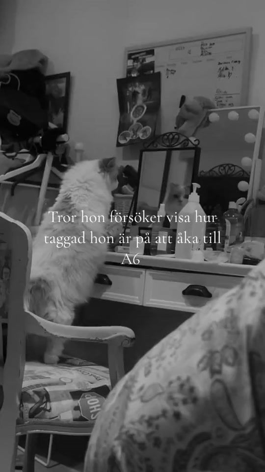 TikTok video thumbnail by matilda_sandstrom_