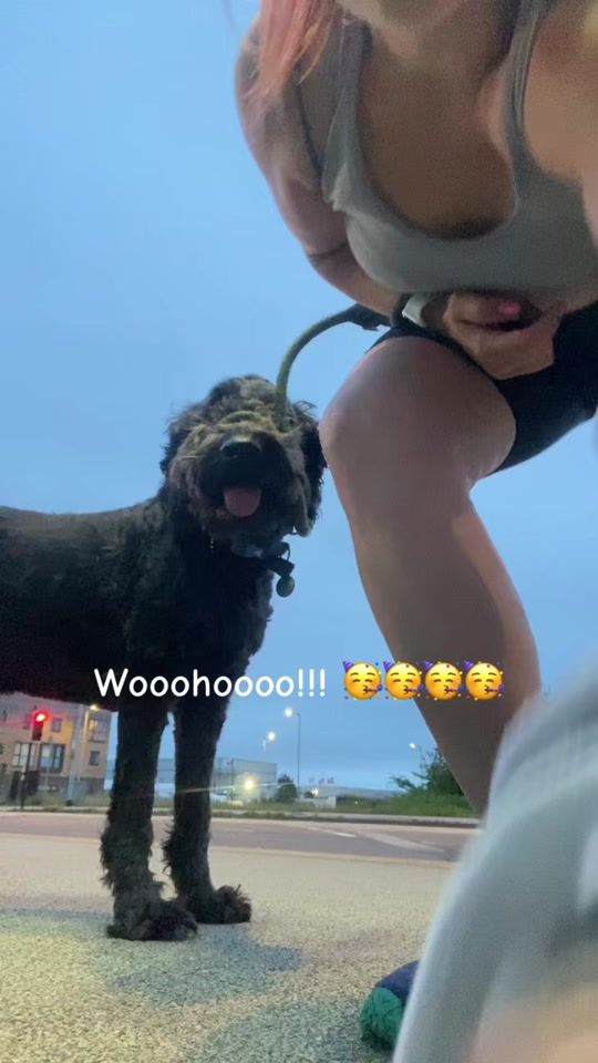 TikTok video thumbnail by abimatthews22